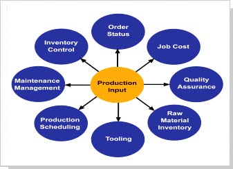 ftware and Management System