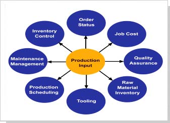 ftware and Management System 